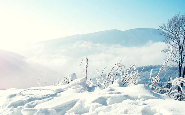 大雪